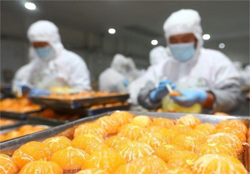 道康寧AFE-1520消泡劑